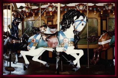 White Horse, Black Mane. Dorsey photo 09/03/89