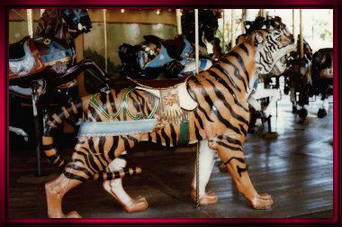 Carousel Tiger. Dorsey Photo taken 09/02/89.