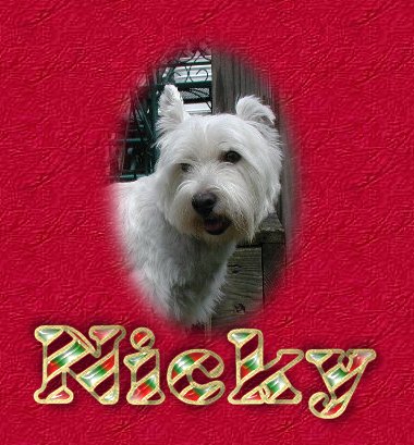 Created 12-07-03 from 07-11-03 Nicky photo