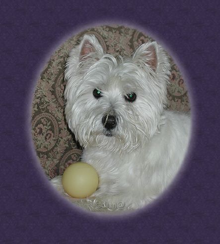 Our Abby - �WKAH/DIAN@ 07/15/04