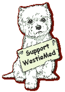 LINK TO WESTIEMED