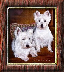 Nicky & Abby, the Westie Kids, 10-12-99 photo