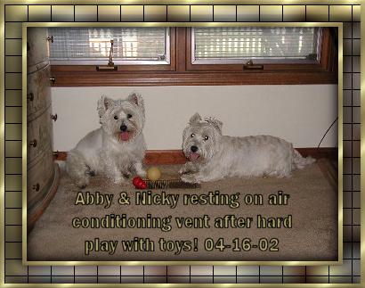 Abby, left, and Nicky 04/16/02