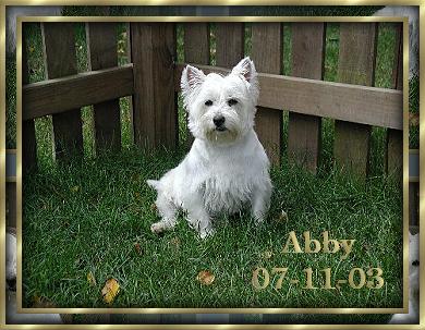 Abby, 07/11/03