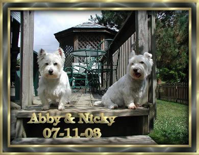 Abby & Nicky, 07/11/03