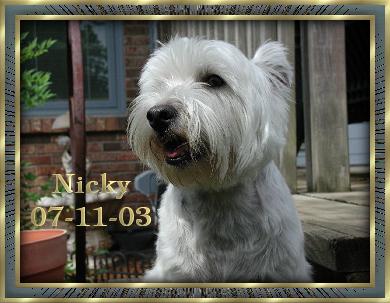 Nicky, 07/11/03