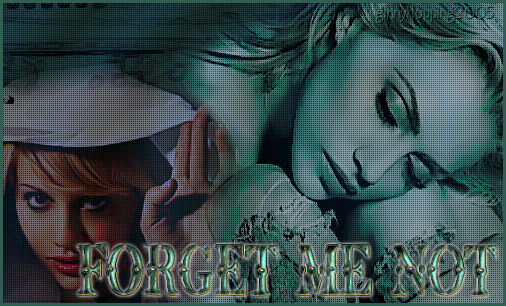 �Ginny/Bunnys Attic 2005