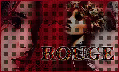 �Ginny/Bunnys Attic 2005