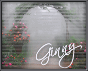 by Ginny Hopping; 06-12-09