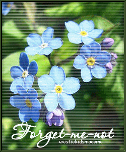 by Westie Kids; June 2009