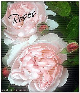 by Westie Kids; June 2009