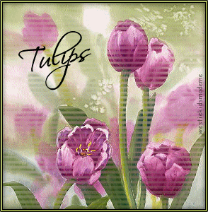 by Westie Kids; May 2009