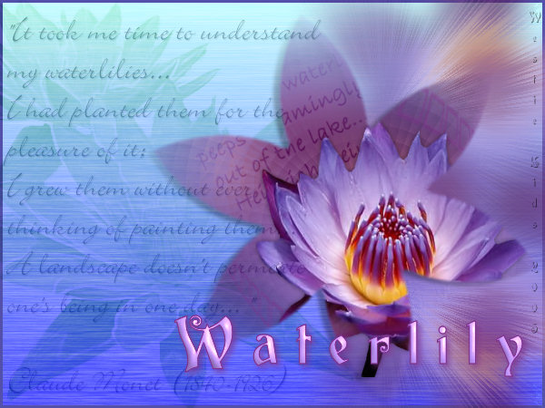 Created by �Westie Kids/Diana 07-20-05